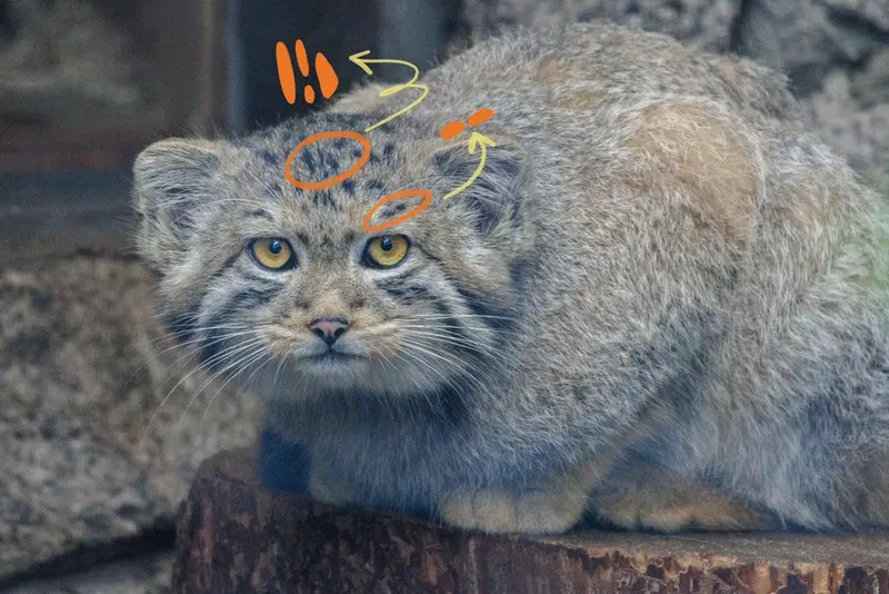 A photograph of Aiden in Leningrad zoo