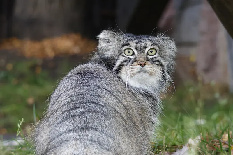 A photograph of Timofey in Moscow zoo
