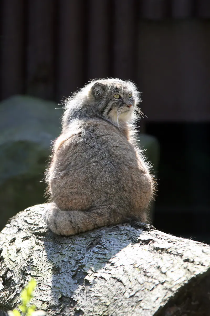 A photograph of Moira in Ostrava Zoo