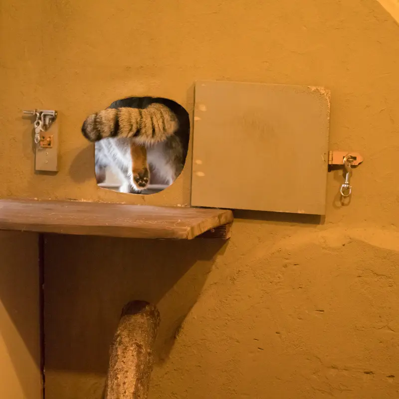 A photograph of Oto in Saitama Children's Zoo
