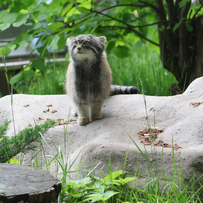 A photograph of Timofey in Moscow zoo