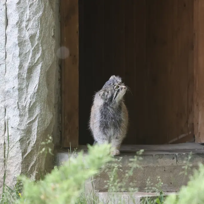 A photograph of Timofey in Moscow zoo