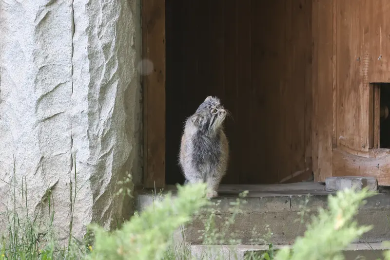 A photograph of Timofey in Moscow zoo