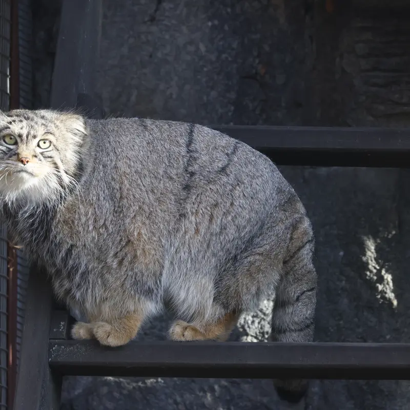 A photograph of Timofey in Moscow zoo