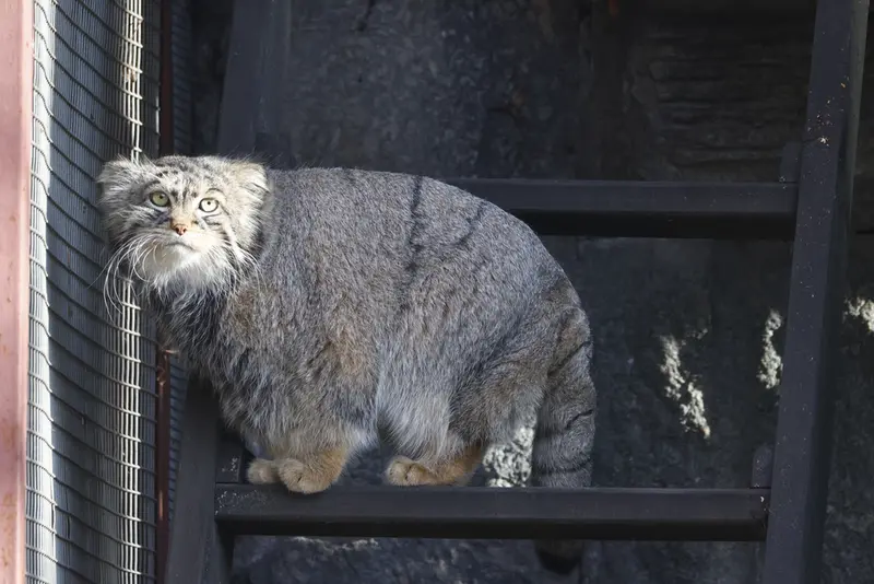 A photograph of Timofey in Moscow zoo