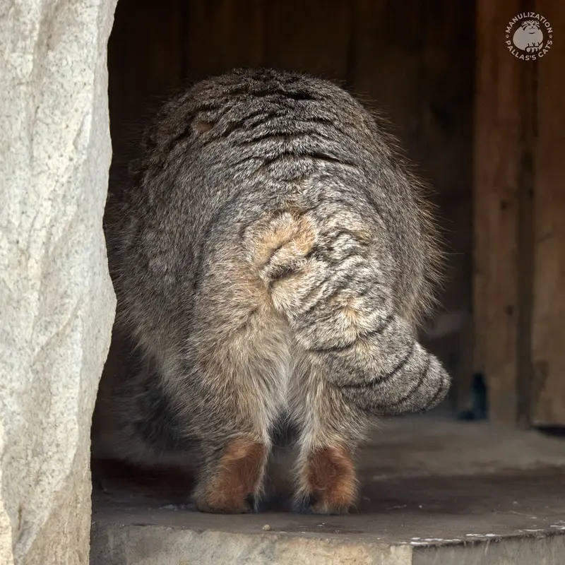 A photograph of Timofey in Moscow zoo