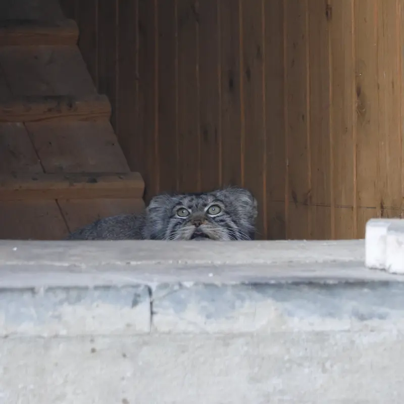 A photograph of Timofey in Moscow zoo