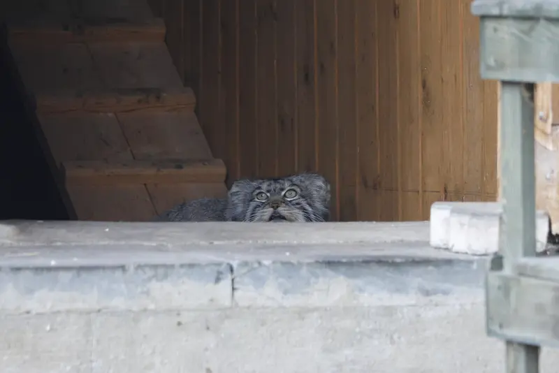 A photograph of Timofey in Moscow zoo