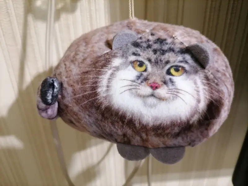 A photograph of a Pallas's cat