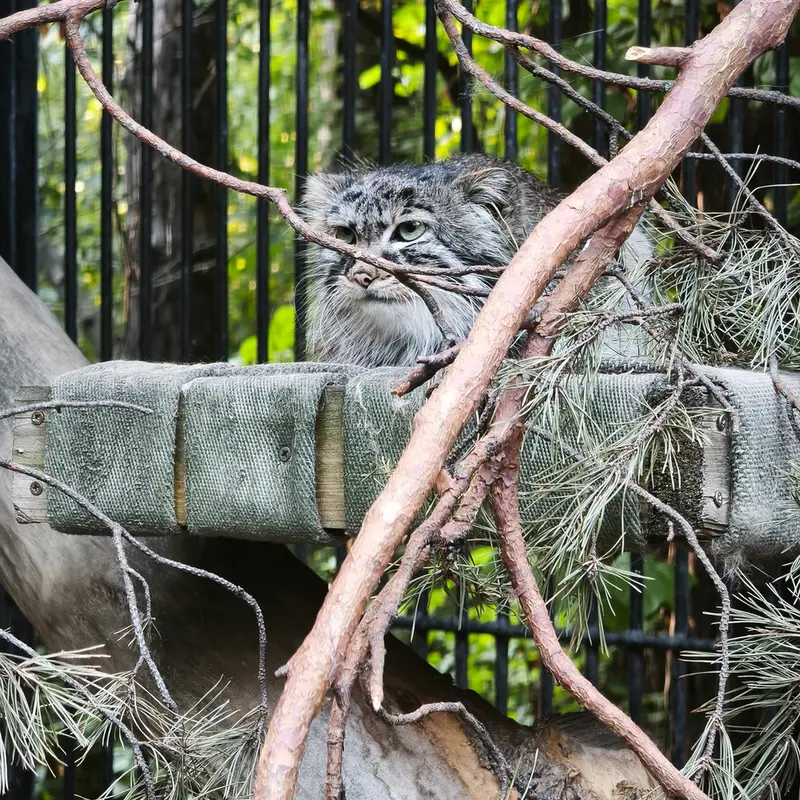 A photograph of Gabi in Novosibirsk Zoo
