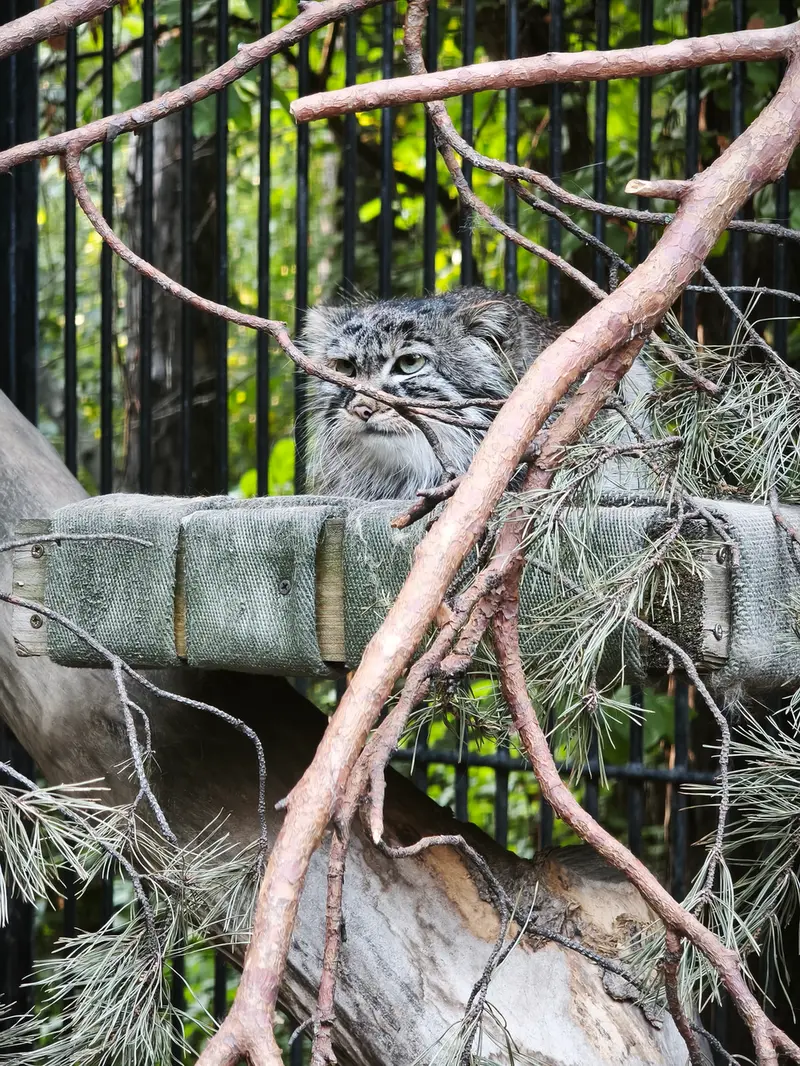 A photograph of Gabi in Novosibirsk Zoo