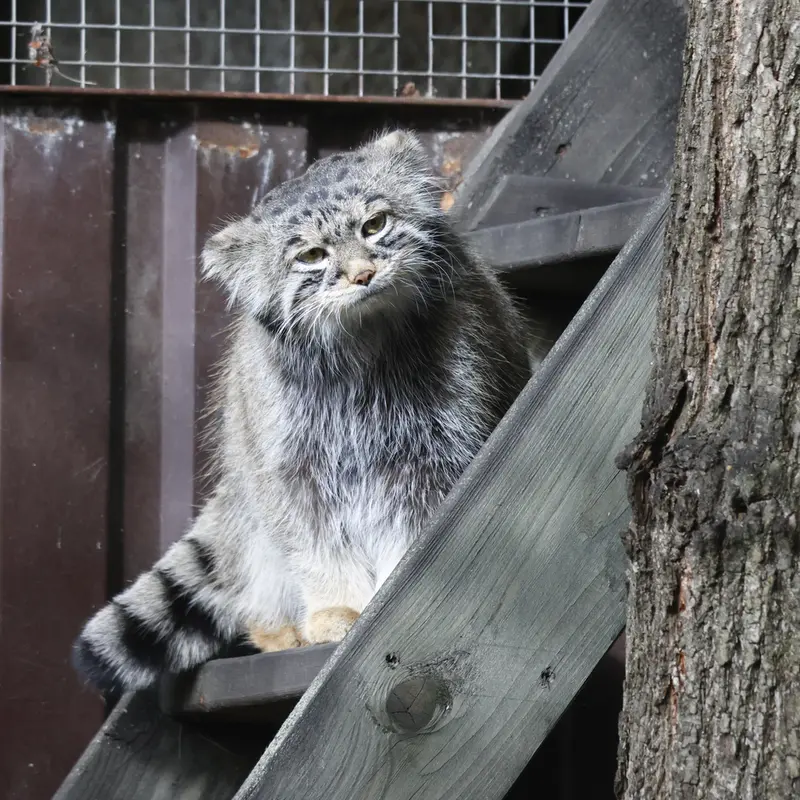 A photograph of Timofey in Moscow zoo
