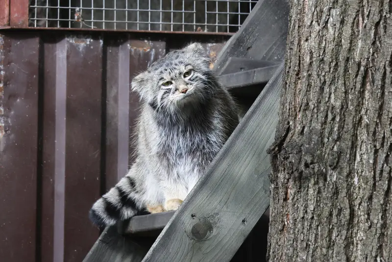 A photograph of Timofey in Moscow zoo