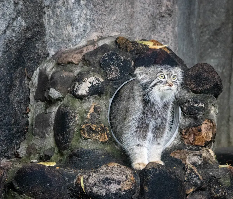 A photograph of Timofey in Moscow zoo