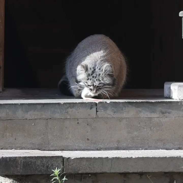 A photograph of Timofey in Moscow zoo
