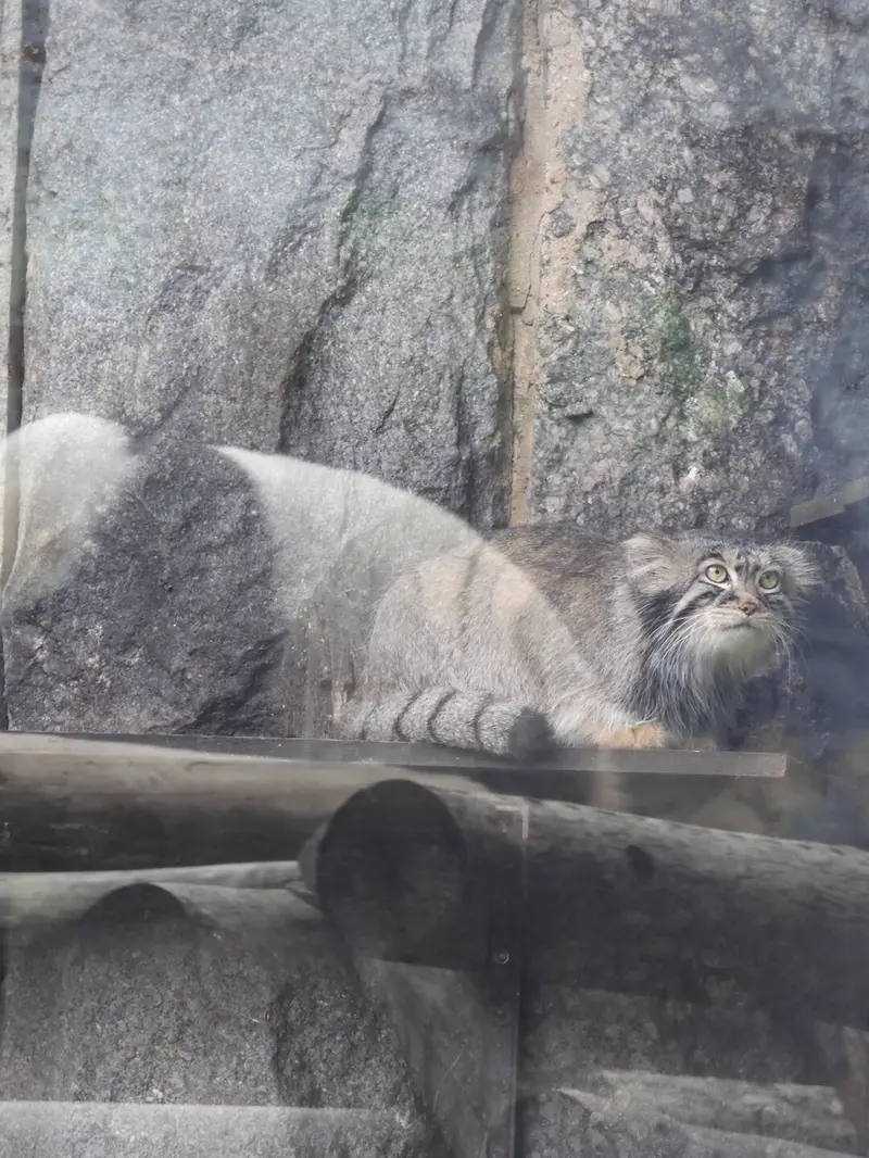 A photograph of Timofey in Moscow zoo