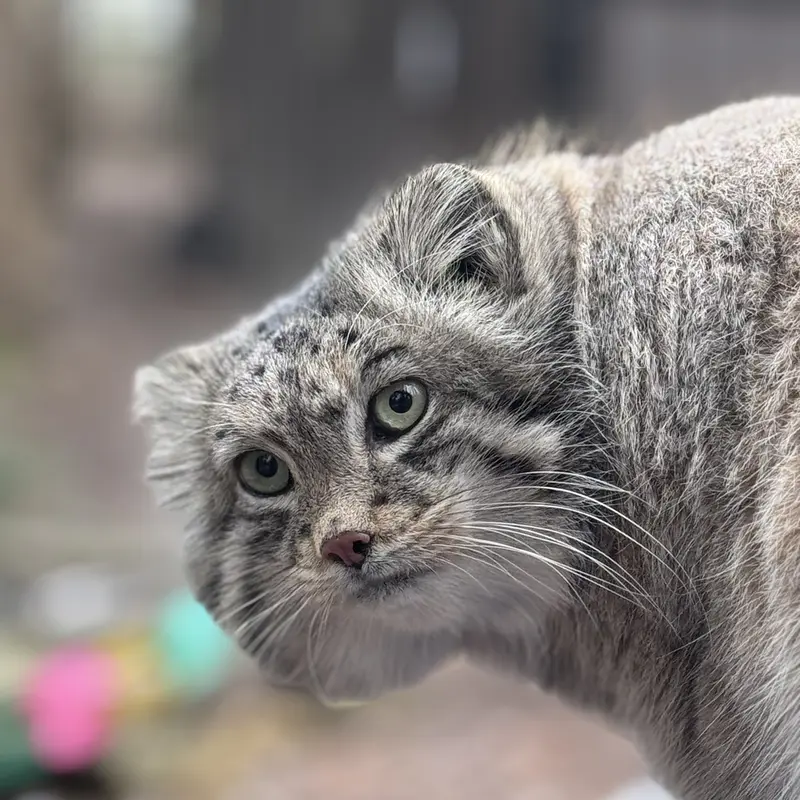 A photograph of Dean in Oglebay Good Zoo