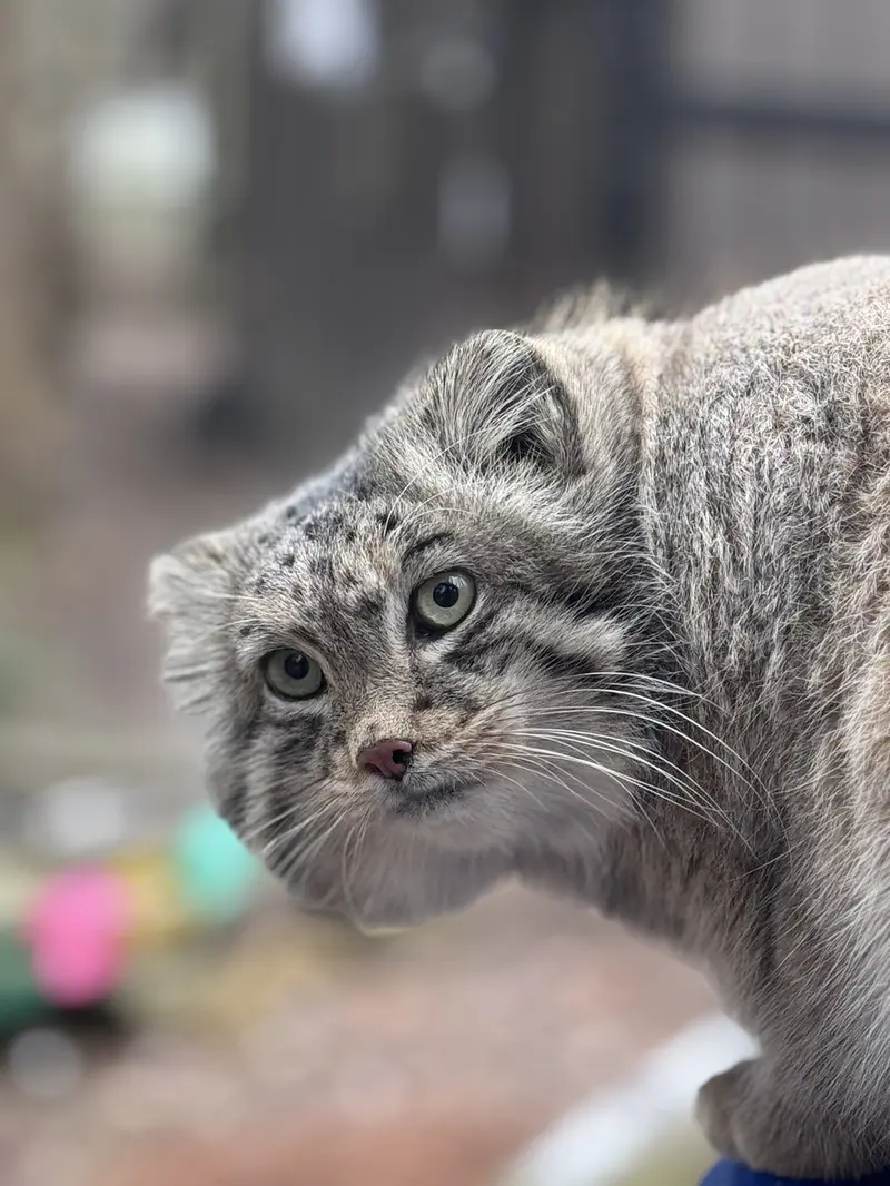 A photograph of Dean in Oglebay Good Zoo