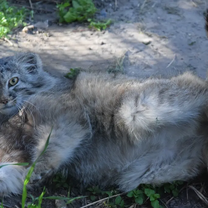 A photograph of Lucy in Budapest Zoo & Botanical Garden