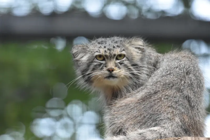 A photograph of Manuel in Gdansk Zoo