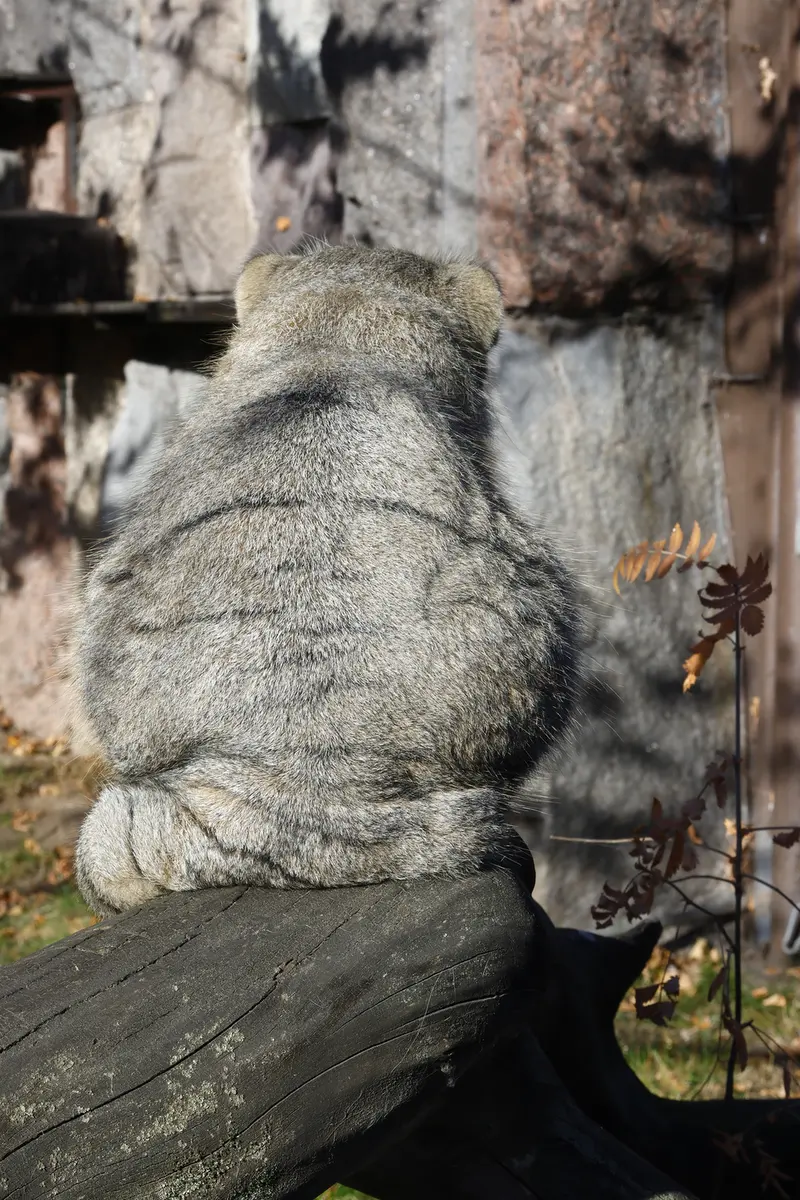 A photograph of Timofey in Moscow zoo