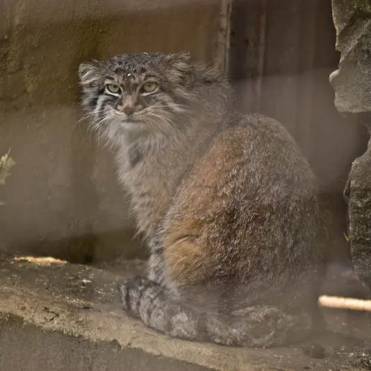 A photograph of Karl-Heinz in Saarbrücken Zoo