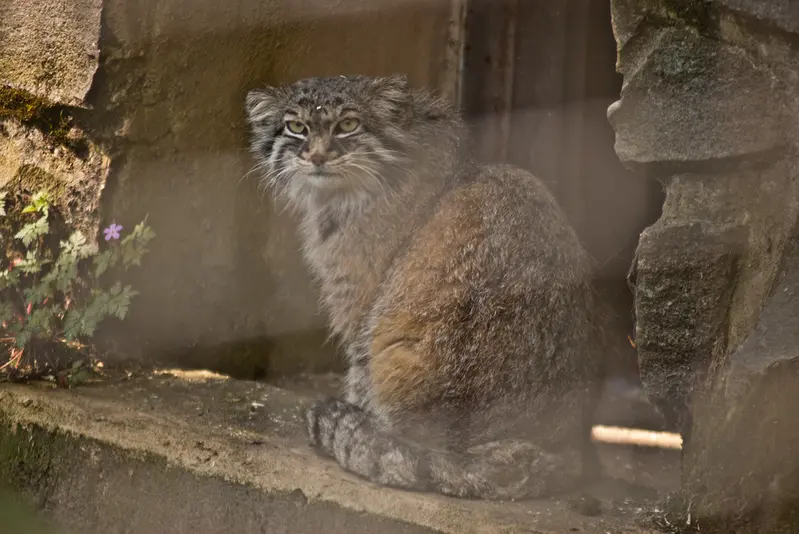 A photograph of Karl-Heinz in Saarbrücken Zoo