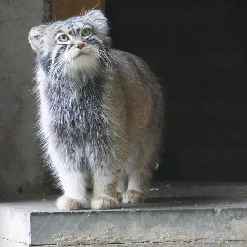 A photograph of Timofey in Moscow zoo