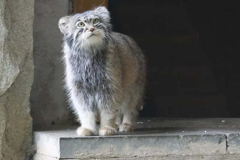 A photograph of Timofey in Moscow zoo