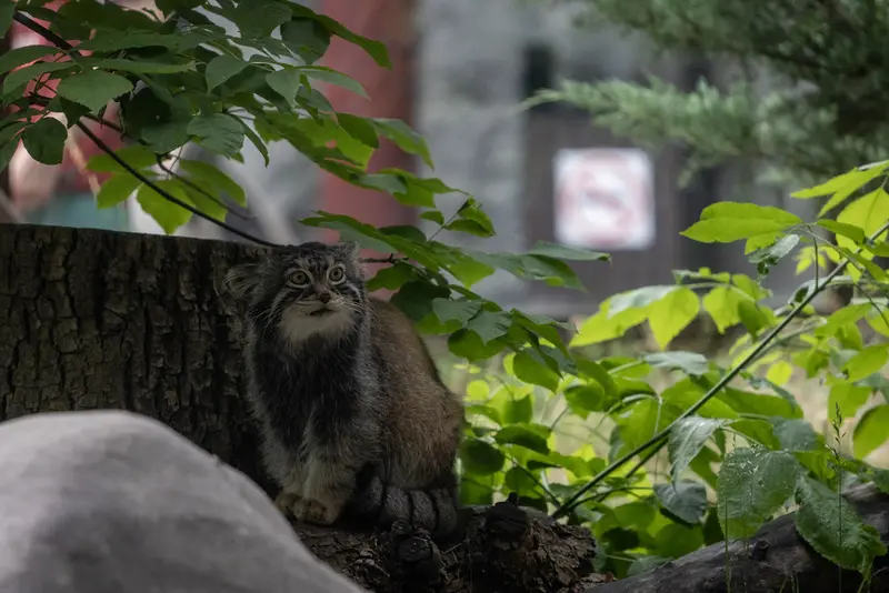 A photograph of Timofey in Moscow zoo