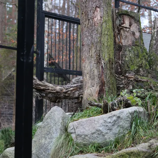 A photograph of Ula in Gdansk Zoo