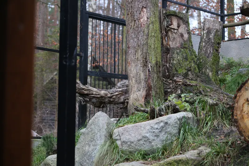 A photograph of Ula in Gdansk Zoo