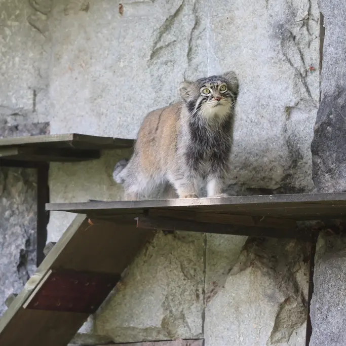 A photograph of Timofey in Moscow zoo