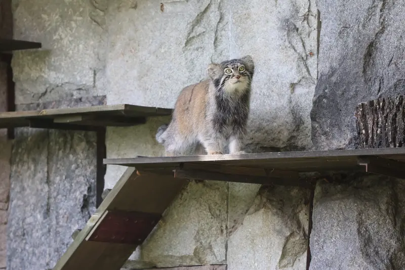 A photograph of Timofey in Moscow zoo