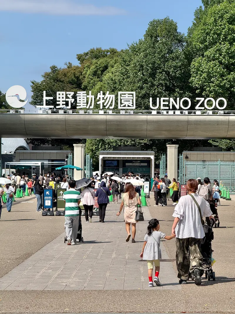 A photograph of a Pallas's cat in Ueno Zoological Gardens