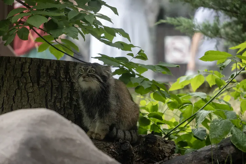 A photograph of Timofey in Moscow zoo
