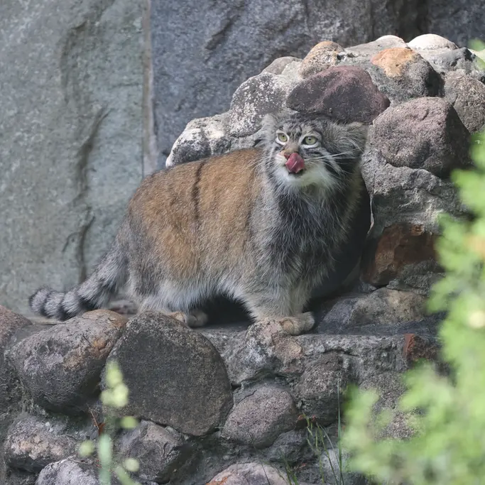 A photograph of Timofey in Moscow zoo