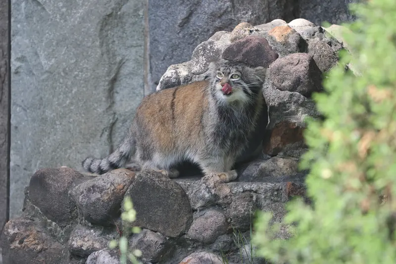 A photograph of Timofey in Moscow zoo