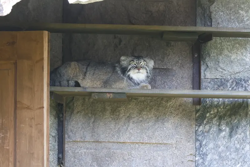 A photograph of Timofey in Moscow zoo