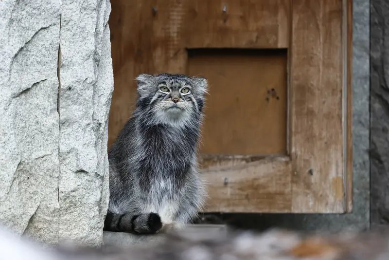 A photograph of Timofey in Moscow zoo