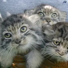 A photograph of Elvira and Tim in Red River Zoo