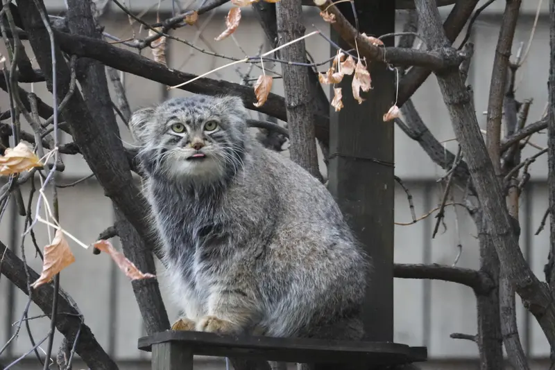 A photograph of Timofey in Moscow zoo