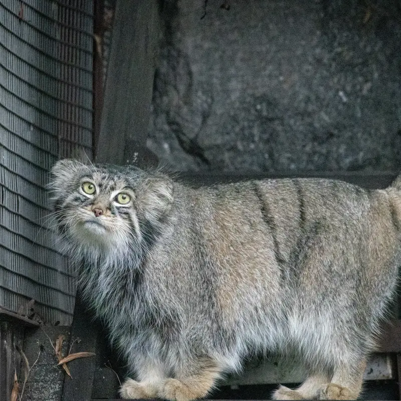 A photograph of Timofey in Moscow zoo
