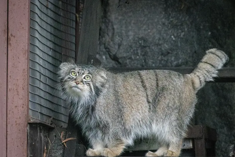 A photograph of Timofey in Moscow zoo