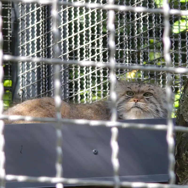 A photograph of Melissa in Lithuanian Zoo