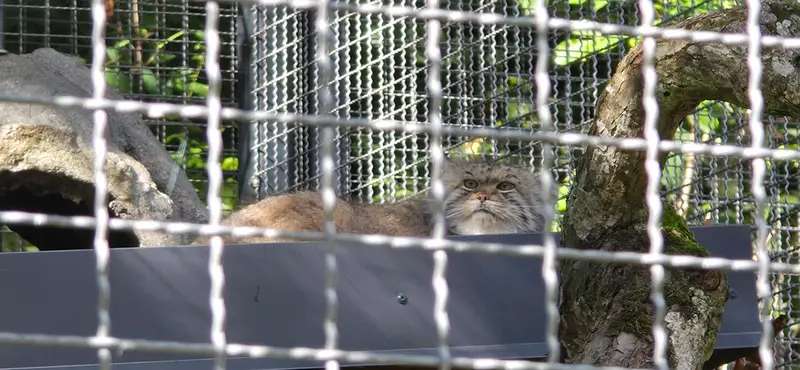 A photograph of Melissa in Lithuanian Zoo