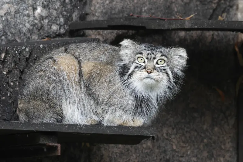 A photograph of Timofey in Moscow zoo