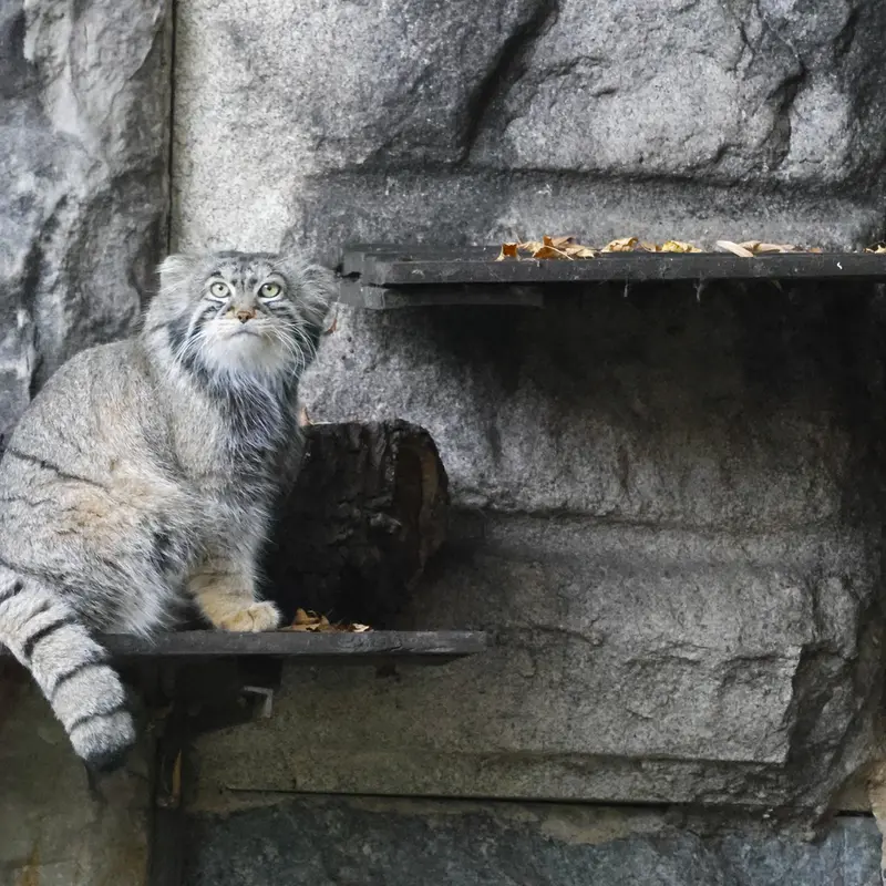 A photograph of Timofey in Moscow zoo