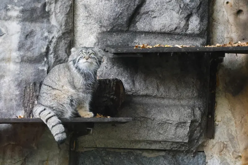 A photograph of Timofey in Moscow zoo