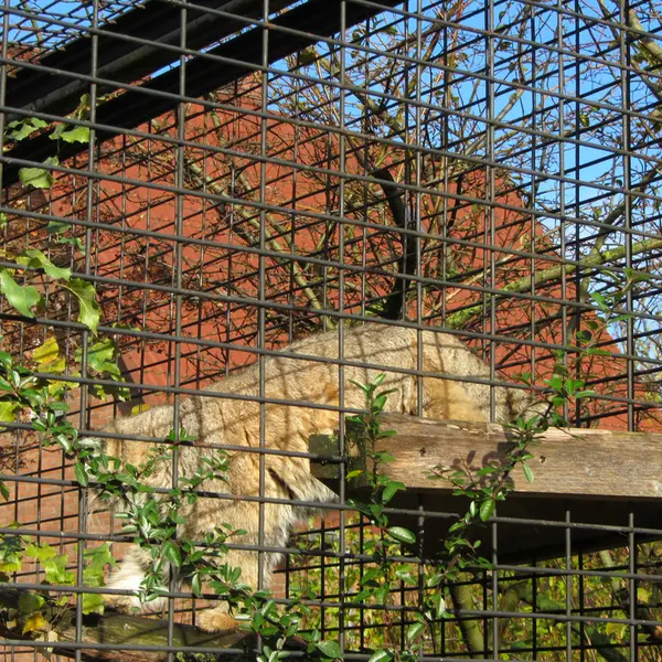 A photograph of Jonathan in Magdeburg Zoo